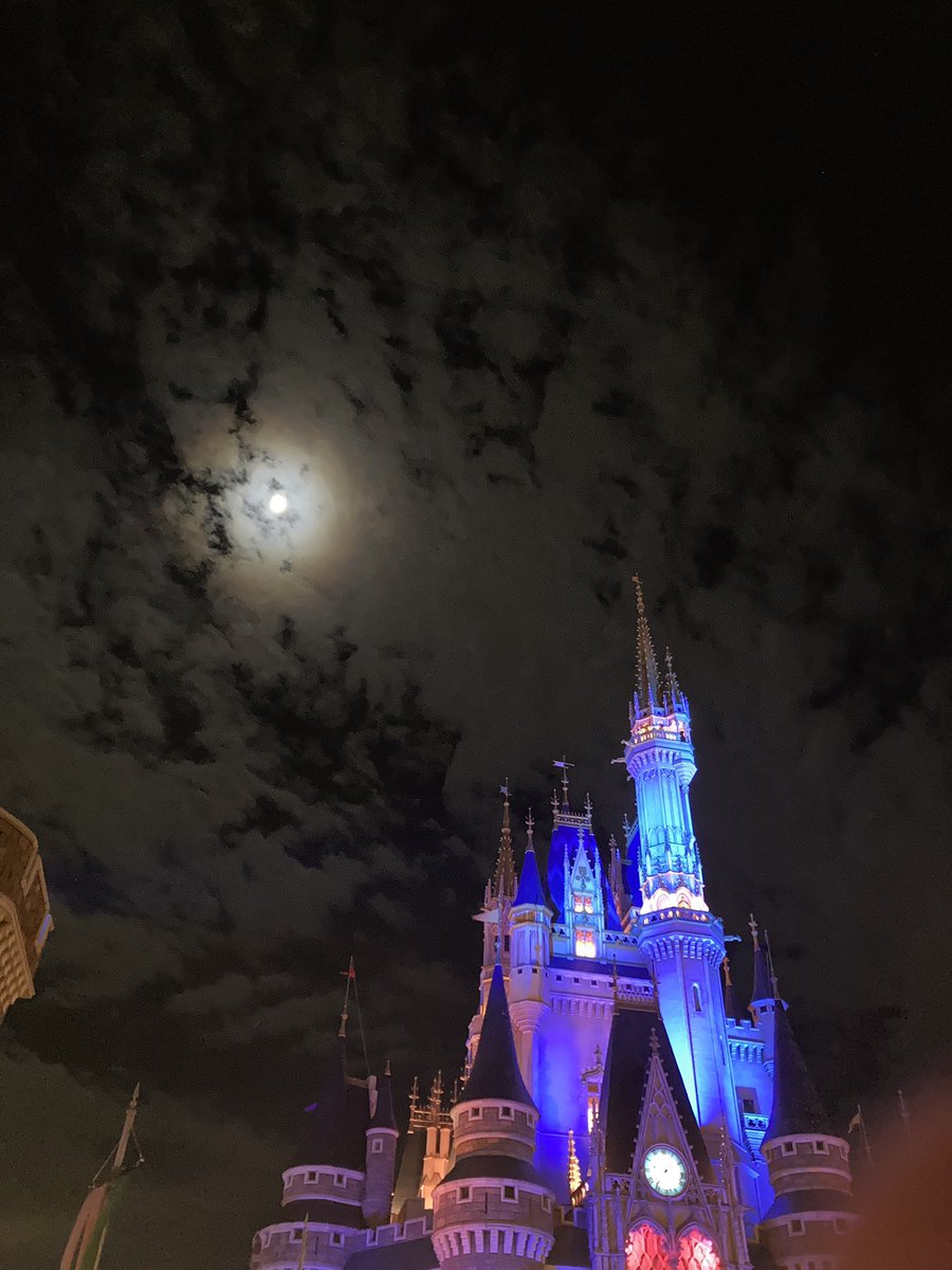 今日はディズニーランドに行きました！
やはり楽しいですね。
今年はこれで最後かな？笑
