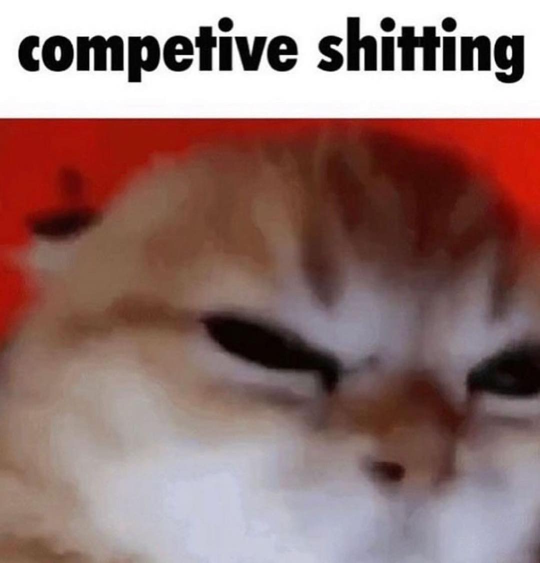 Punch Cat (@punchingcat) on Twitter photo 