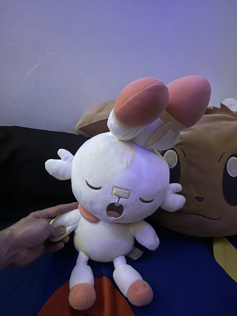 jekjek 🥕 tweet media