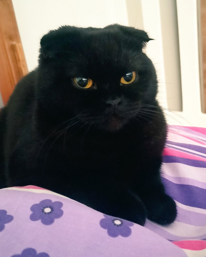 Gözlerimi çizdirdim üç gündür yatıyorum herkes uyudu sen uyumadın bir an olsun yanımdan ayrılmadın nereye gitsem peşimden geldin o güler yüzünü (?)hiç eksik etmedin refakatçi gibi refakatçiydin bu süreçte teşekkür ederim.