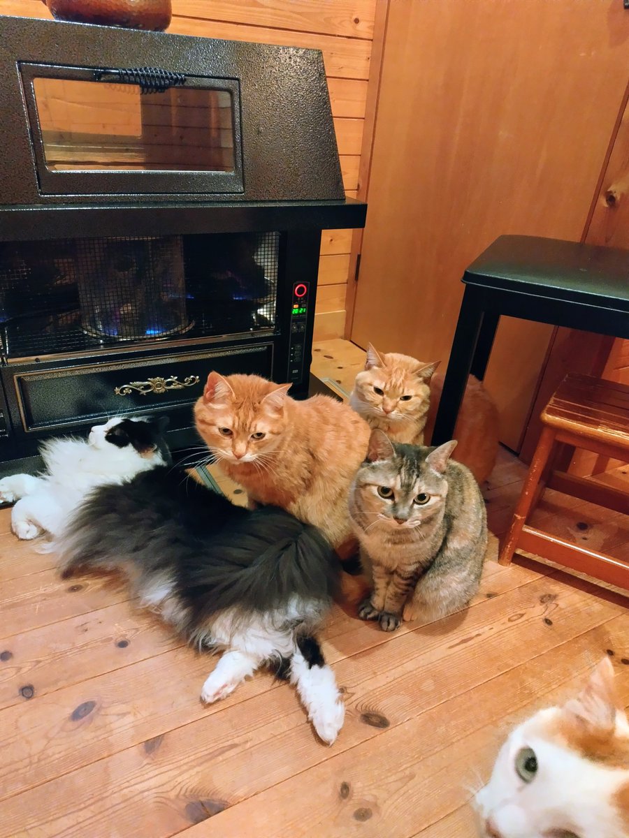 ストーブ前にどんどん集合