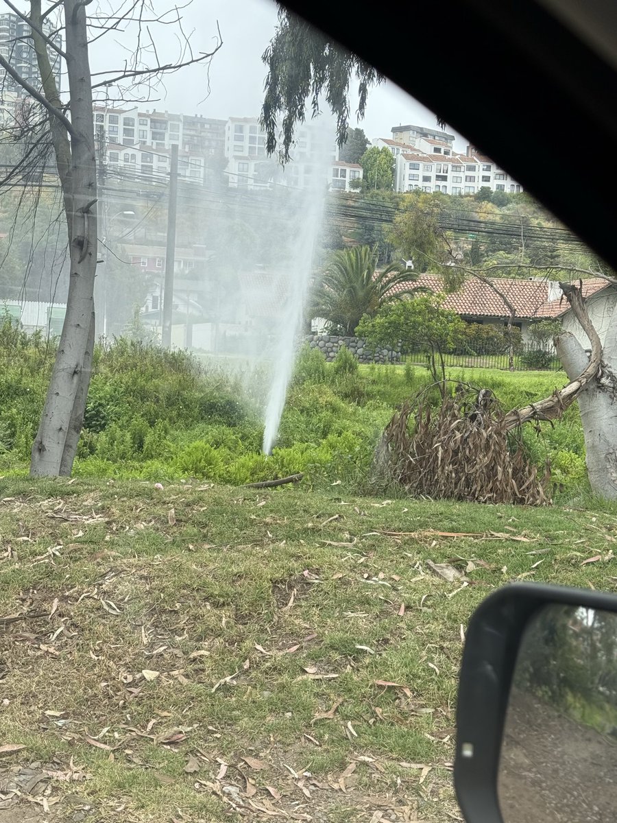 Daniel Torres Guzmán tweet media