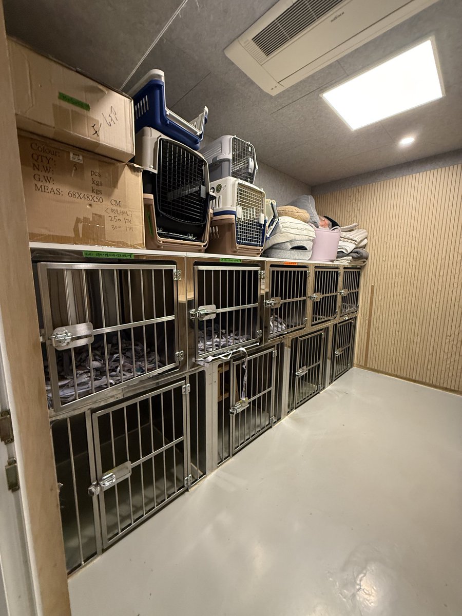 ‼️아름품에 남은 동물들이 모두 사라졌습다‼️

아름품 상근 활동가들은 저녁 6시-6시30분 경 퇴근합니다.

서울동물영화지 폐막식 후 짐을 두러 와보니 아름품 동물들이 고양 람보를 제외하고 모두 사라졌습니다.

아름품 담당자들이 모두 노조 활동가들이다보니 노조 활동가들이 퇴근한 후에 7시 반