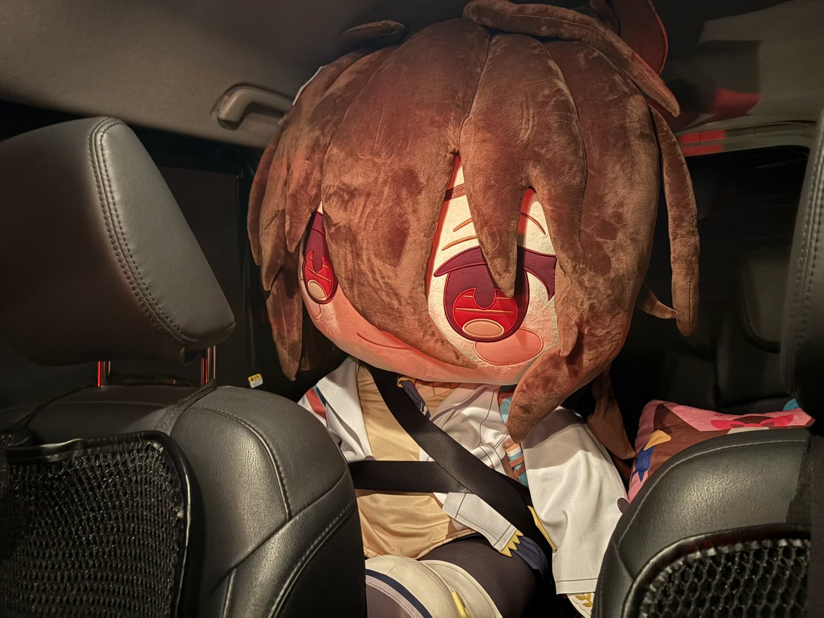 愛しのくるまちゃん 🔥他の投稿は@Riican_ZD8 をチェック☑️🔥 . . . 車内の