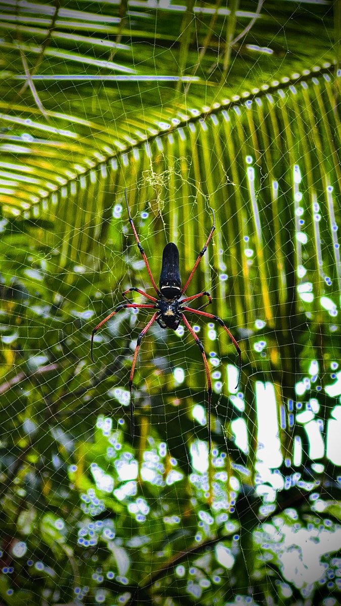 smitavaktr's tweet image. 