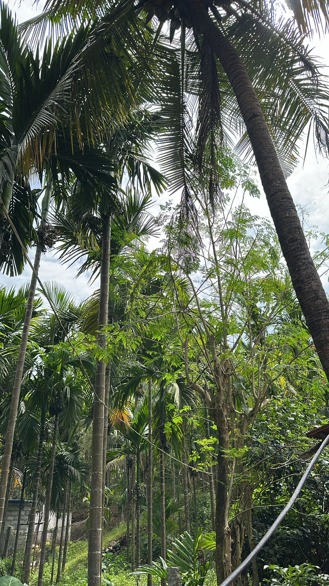 smitavaktr's tweet image. 