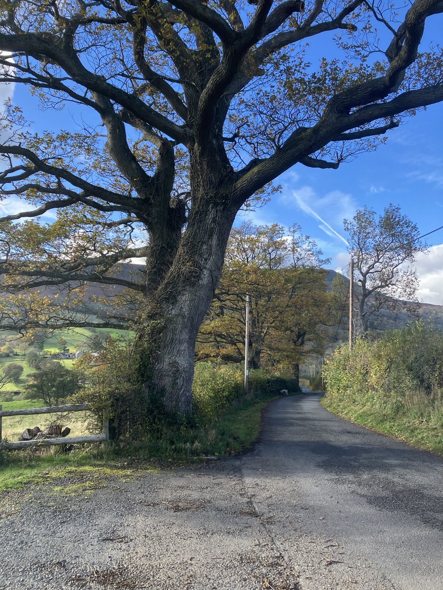 Craswall looking pleasingly autumnal