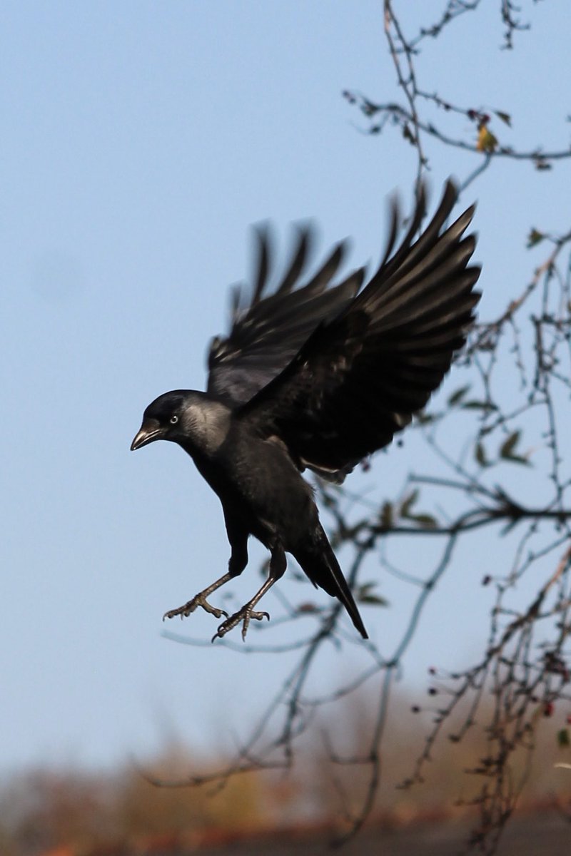 Oh hello, we don’t usually get visits from you 🖤