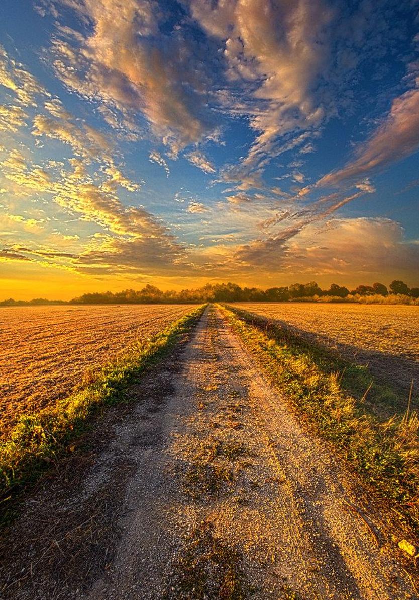 金曜日朝のメモ：雪／すっきり。散歩する→動画見る。今日もこつこつ。 🧺