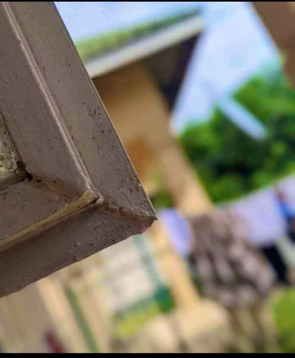 _Azdak's tweet image. Tell me the pain that is stronger than being  hit by this on the head👇