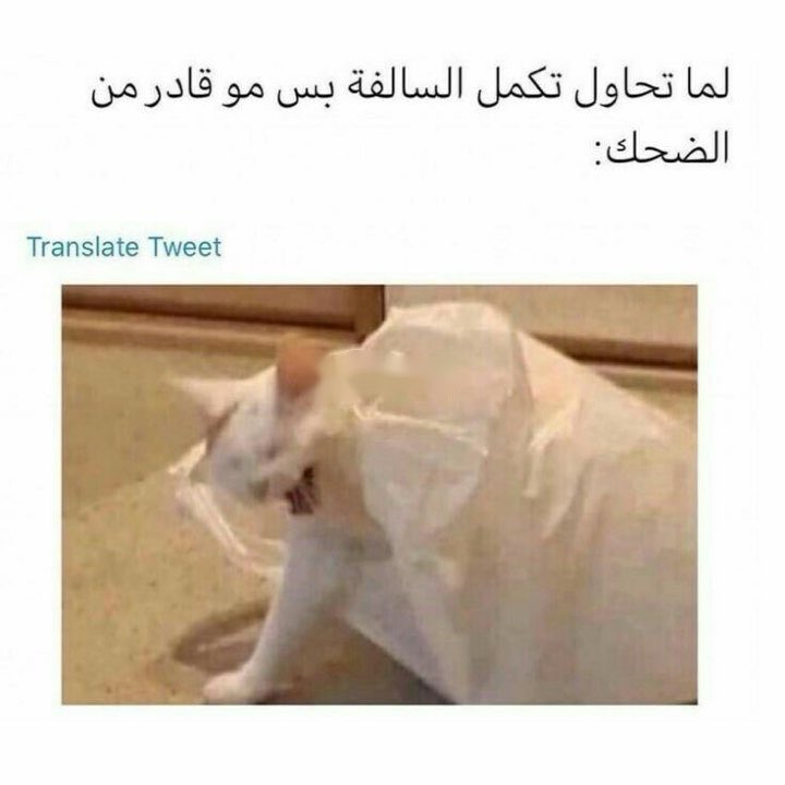 انس ماغيره (@99bd) on Twitter photo 