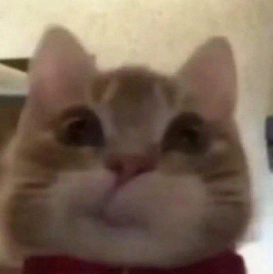 imagina você acordar triste e querendo esganar alguém por algo que aconteceu no seu SONHO vei como pode a mente do ser humano