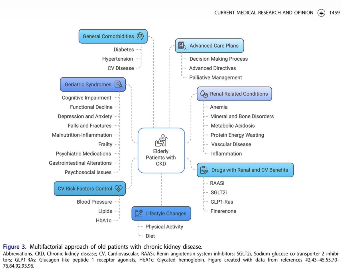 hardik4u24's tweet image. 🌿Comprehensive care for elderly patients with CKD demands a multifactorial lens 🫘

🔗 doi.org/10.1080/030079…

#NephTwitter #Geriatric #Kidney #CKD