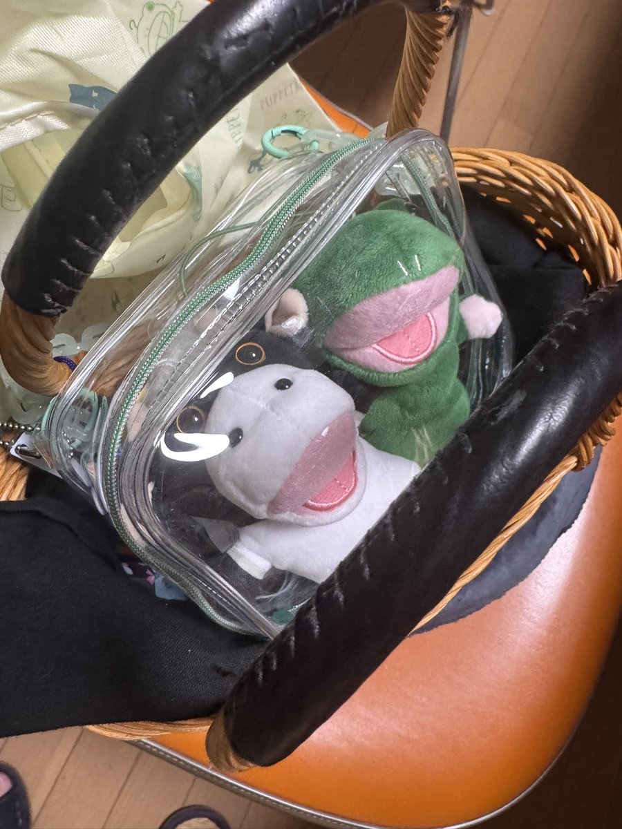 渋谷PUS初日の戦利品✨
pic1;エコバッグは前回購入したものだけどBGにしちゃいました
pic2; 宇宙蛙当たらずー😭🐸　でも満足
pic3; 2200円ごとにくれる名刺風カード。左上下がホストの名刺みたいって子どもに言われたよw
pic4; 祭りの後。お連れしたおふたり🐮🐸

#パペストア
#パペットマペット