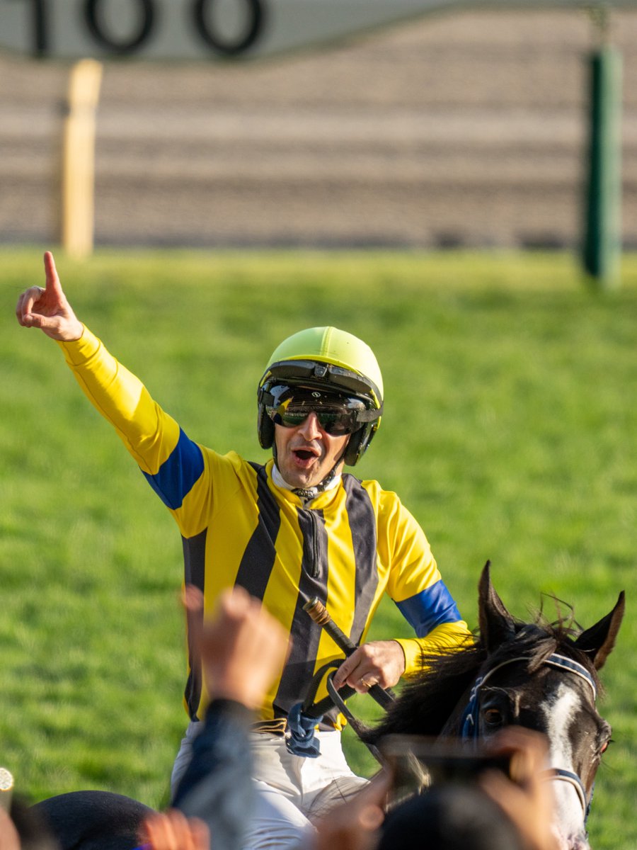 ぺそにき (@stzero315) / Posts / X