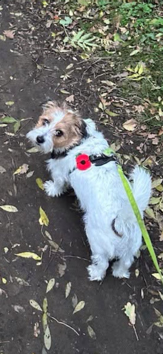 Gary Heuerman tweet media