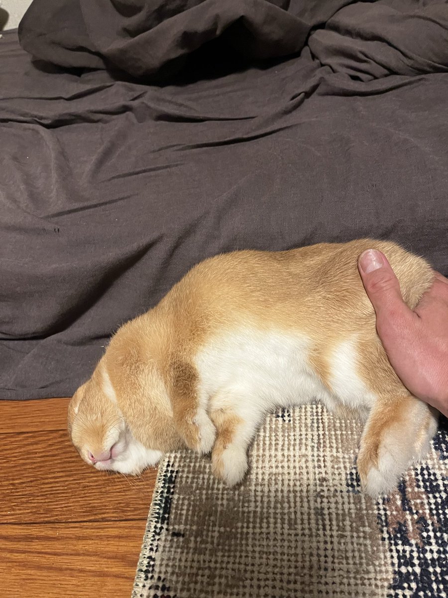 おみそ