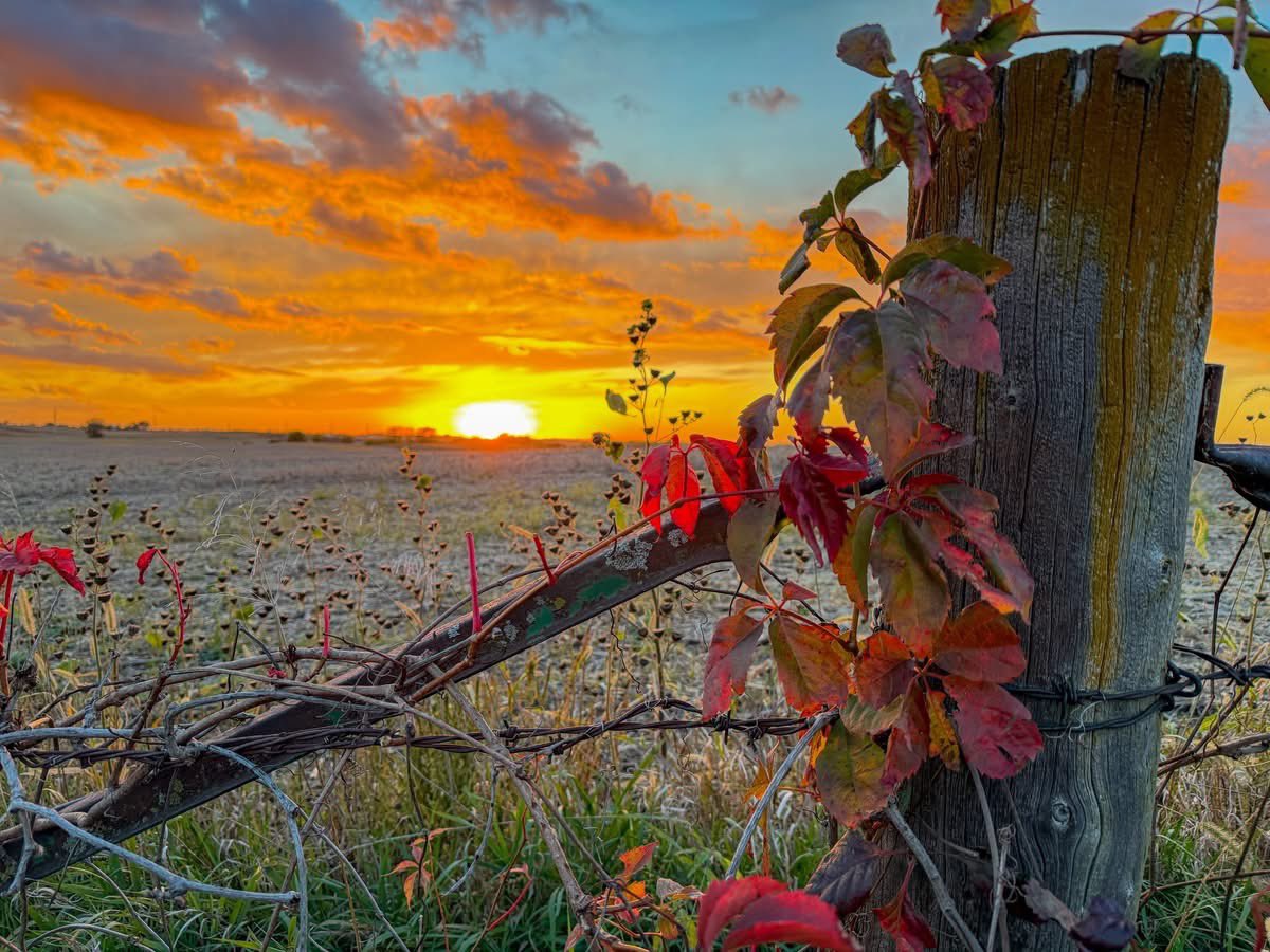 saddleupmin's tweet image. God is not wanting great men, but HE is wanting men who will dare to prove the greatness of their God.  A.B Simpson