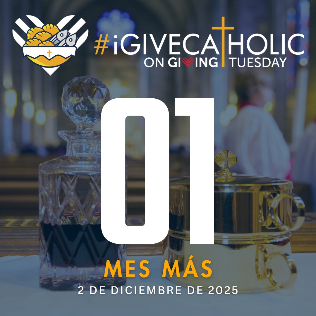 Catholic Foundation of North Georgia tweet media