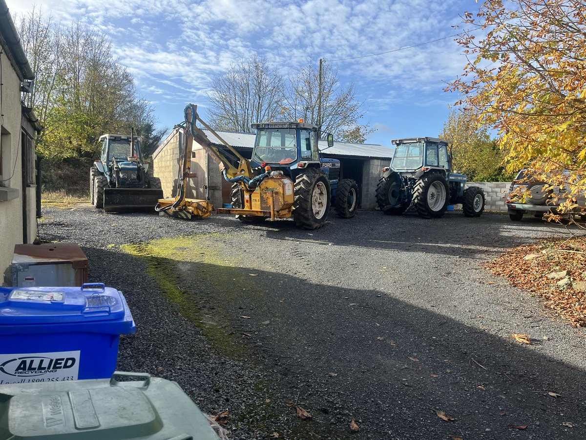 Fords enjoying the sunshine!