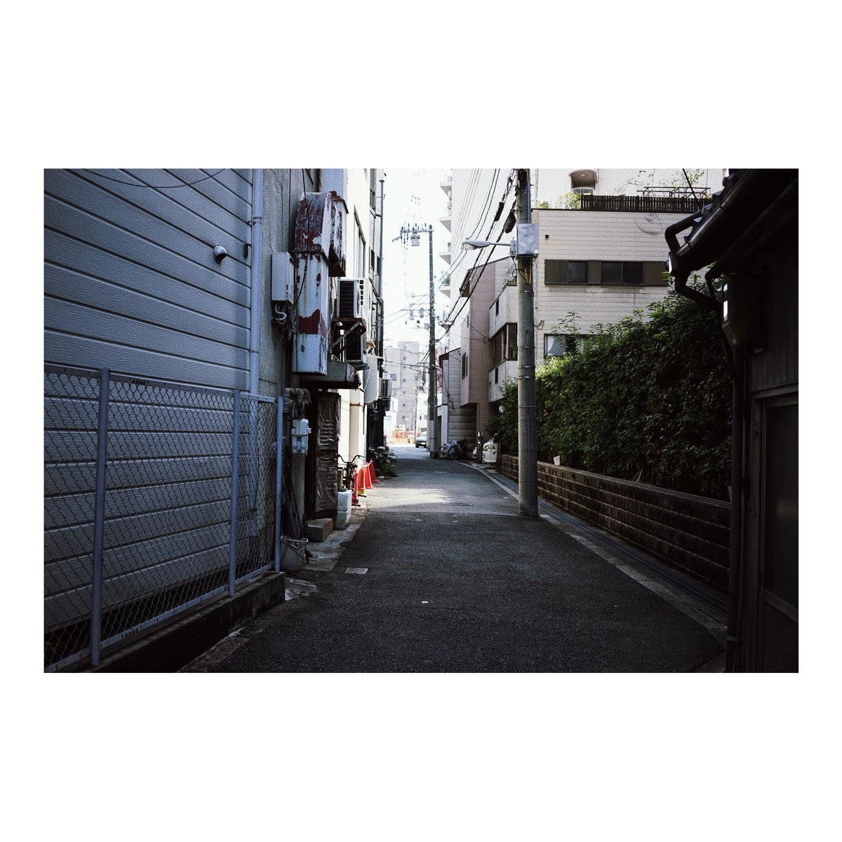 thousand1967's tweet photo. #photography #sonyalpha7 https://t.co/HqMXp0CEr7