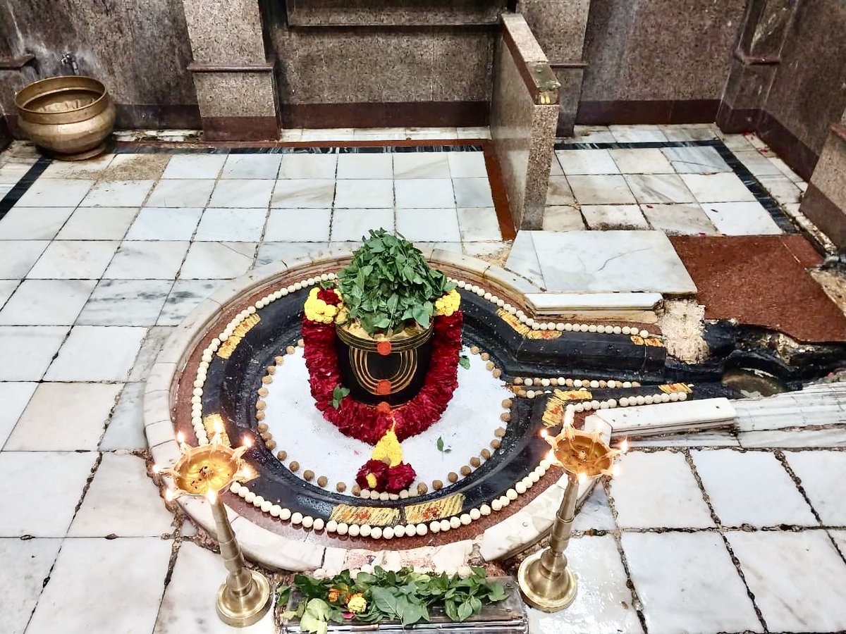 श्री परली बैद्यनाथ ज्योतिर्लिंग जी के आज के संध्या/शयन आरती दिव्य व अदभुत श्रृंगार दर्शन 02.11.2025