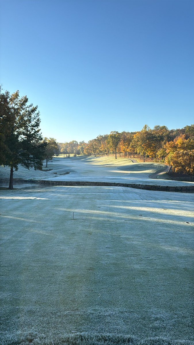 Andrew Tenholder tweet media