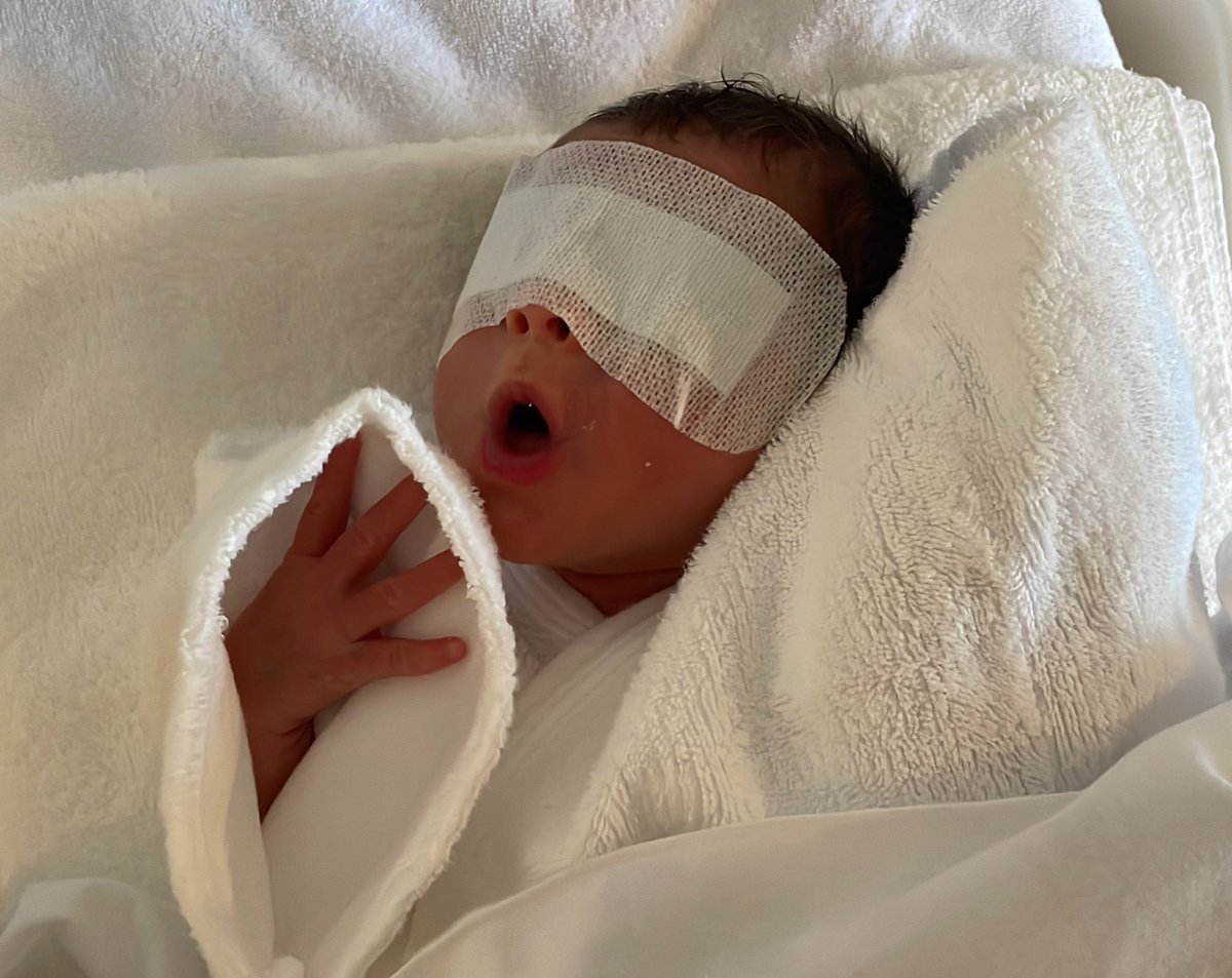 🌈ゆりこ様🦄 (@xyuricornx) / Posts / X