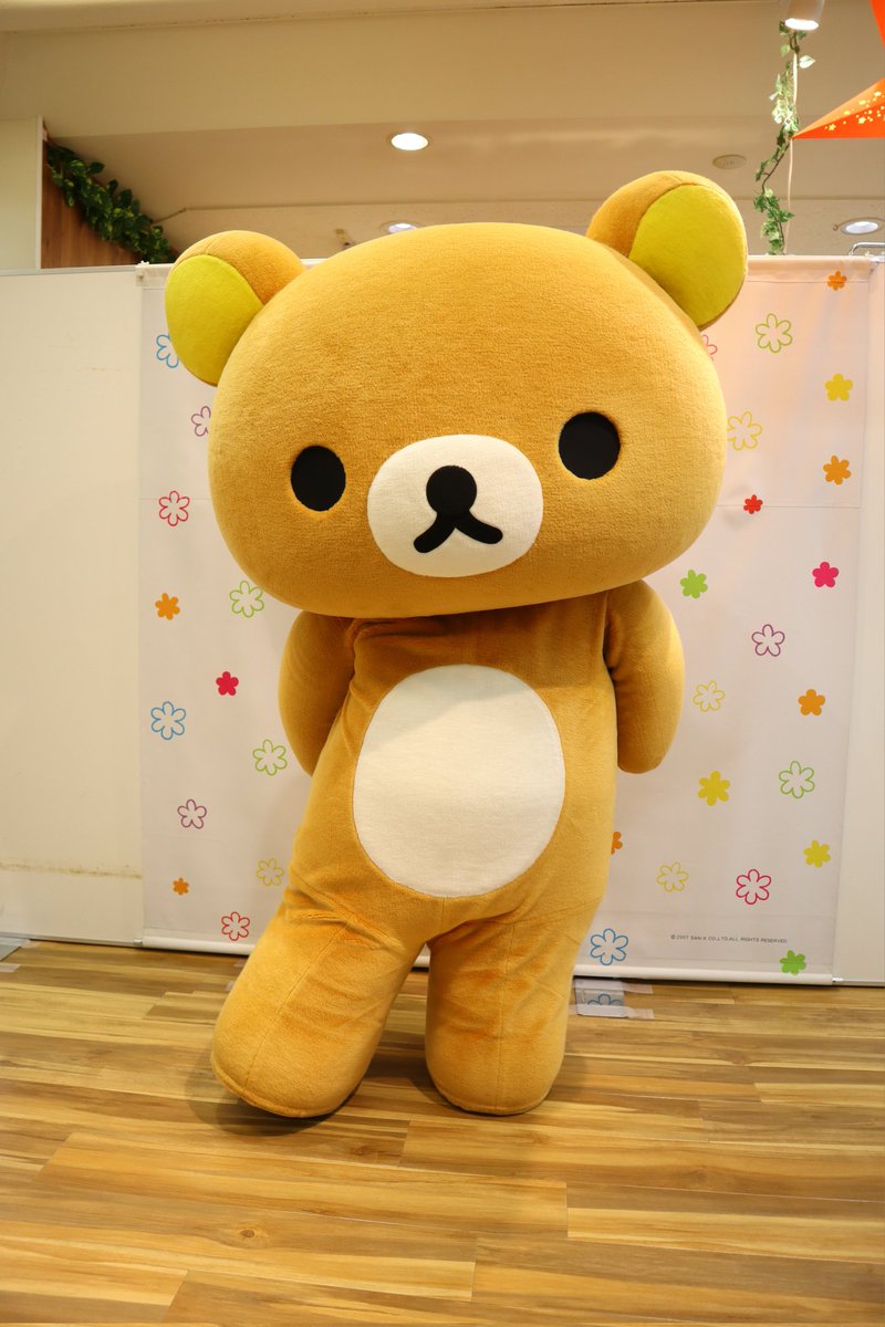 リラックマ(・㉨・)