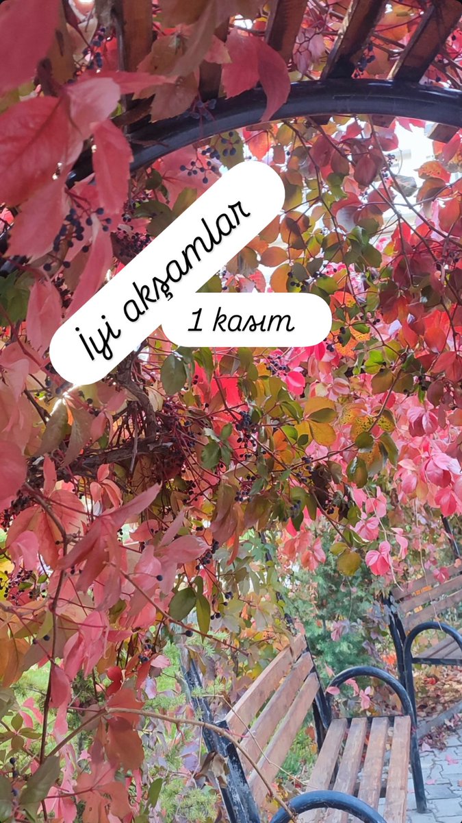 Ateş Bey@ (@06atesbey) on Twitter photo 