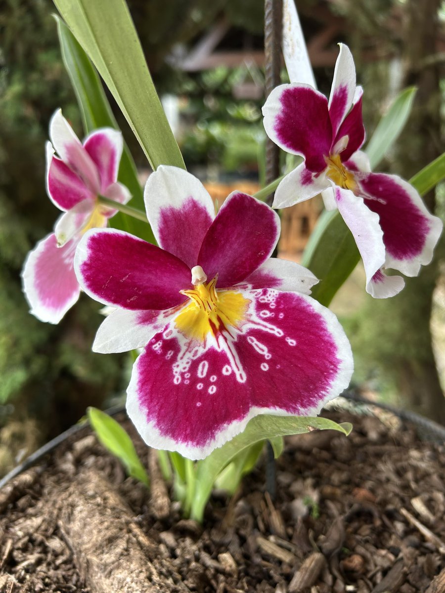 ¡Un beso al cielo, por todos los que se fueron…pero siguen en nuestros pensamientos!