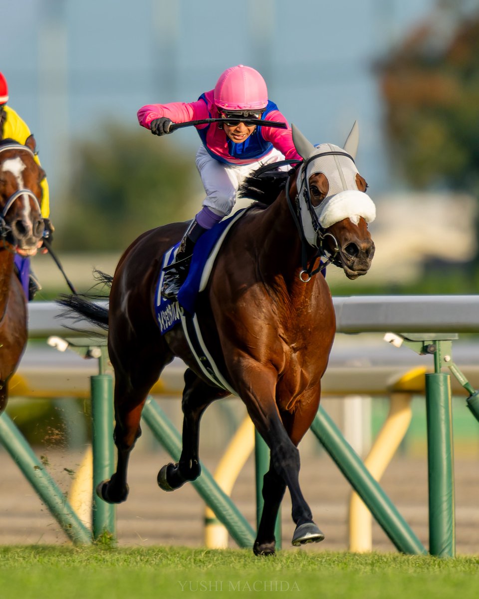 福ちゃん PVDTZ4ZSXZBEXAJTPAGCMUT6TI.jpg