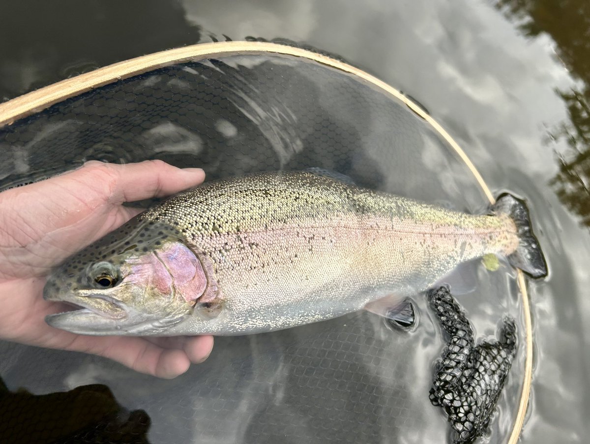 celsuper2's tweet image. 福島遠征DAY2
紅葉見ながらカヌーフィッシング、あまりにも贅沢過ぎる！