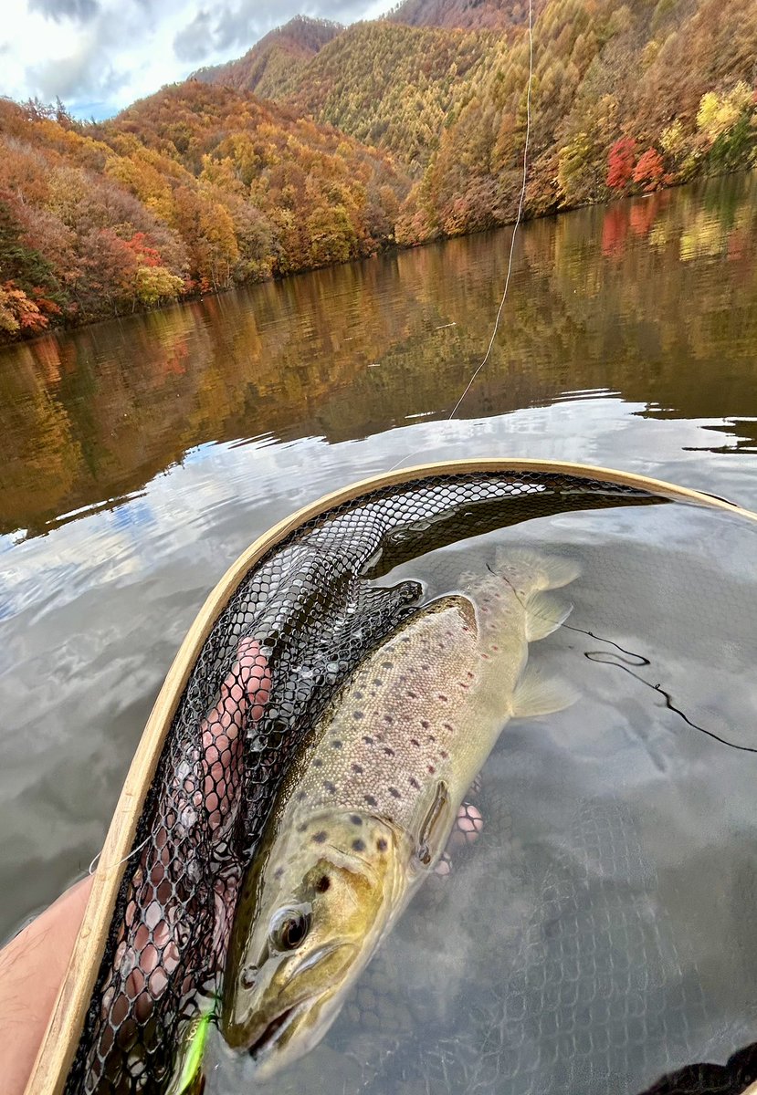 celsuper2's tweet image. 福島遠征DAY2
紅葉見ながらカヌーフィッシング、あまりにも贅沢過ぎる！