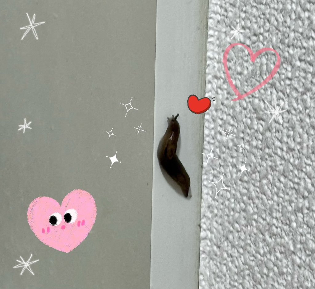 どこから入ったんあんた😭