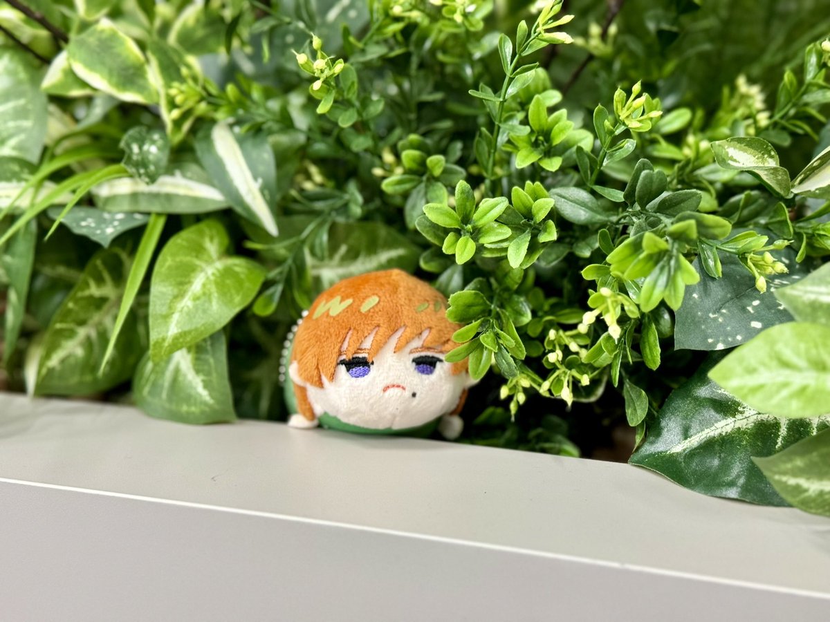 少し前ですがこちらの収録時、かわいいぬいを頂きました

彼も愛機を見て満足したのか、そそくさと帰っていきました

ザベ、森へおかえり…

(楽屋にて