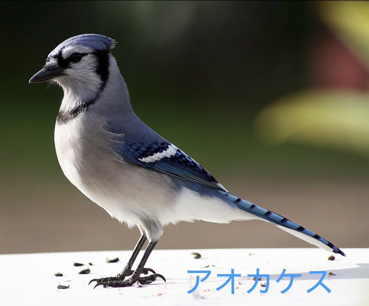 G4wSu7rakAAOpRh.jpg?format=jpg