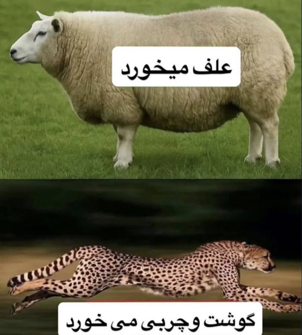 iam_MRT_'s tweet photo. تاثیر رژیم: https://t.co/0Z9mHCTe0x