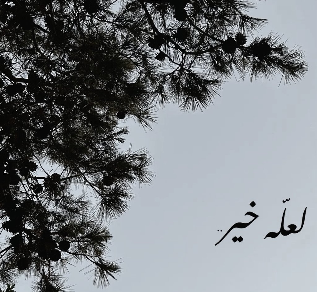.
وفي حُسنِ الظَّنِّ باللهِ مَلجَأٌ لكُلِّ شتاتٍ . . . !!!
.
.
#مساء_الخير 
.