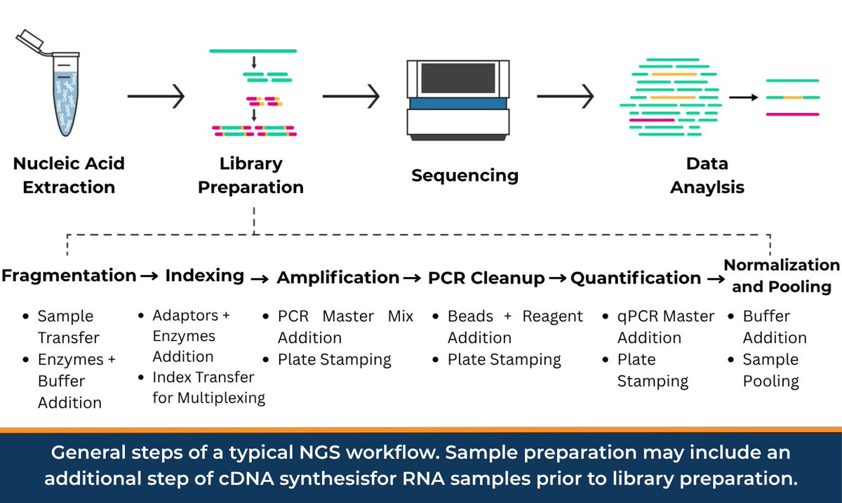Automated Liquid Handling for Next-Generation Sequencing Library Preparation

Mantis, Tempest, F.A.S.T., FLO i8 PD automate precise low-volume transfers, save reagents, and accelerate pooling, enhancing throughput and reproducibility for NGS workflows.

hubs.ly/Q03RcqhN0