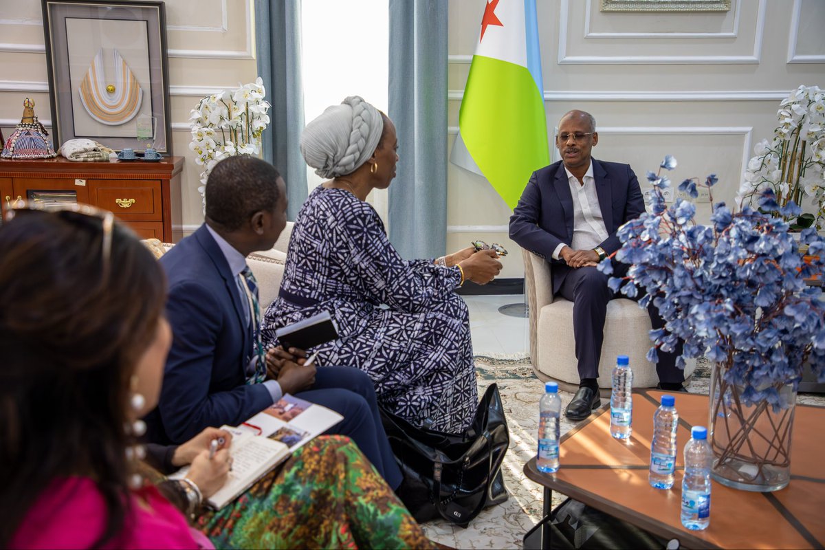 Kicked off our visit to Djibouti alongside <a href="/daniels_ugochi/">Ugochi Daniels</a> with fruitful meetings with the Ministers of Foreign Affairs, Interior, Labour, and Health.

Discussions reaffirmed our shared goal of improving migration governance, protecting lives, + advancing sustainable, solutions.