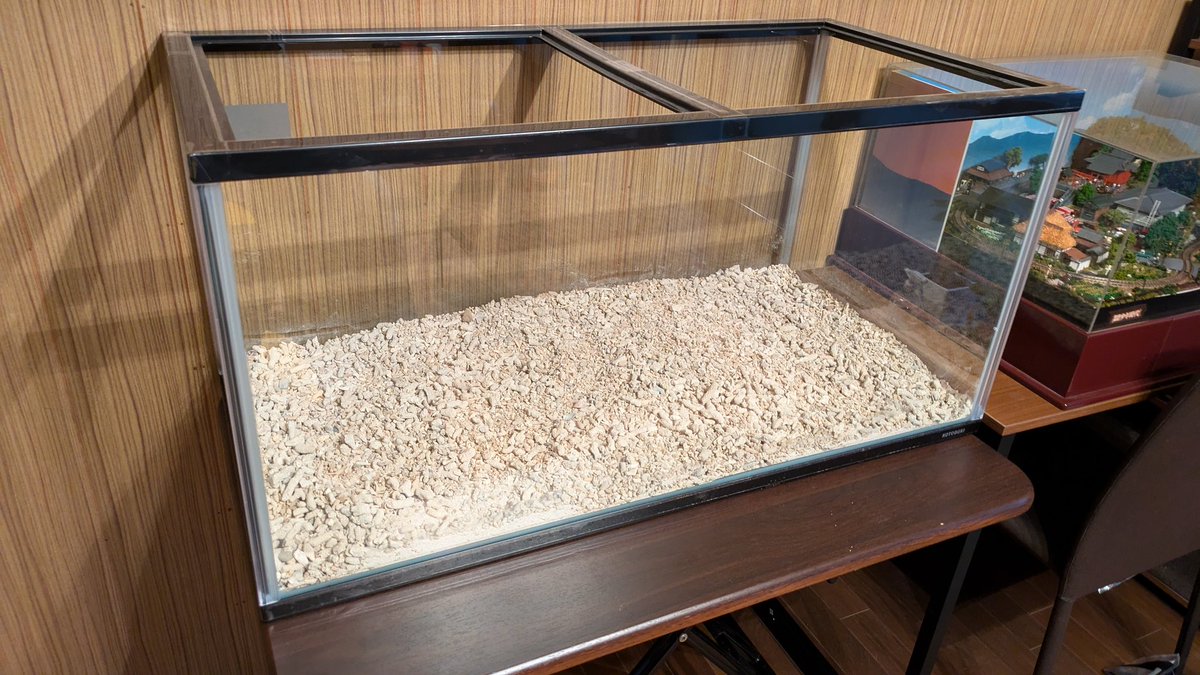 ジュリエッタ on X ジュリエッタ on X