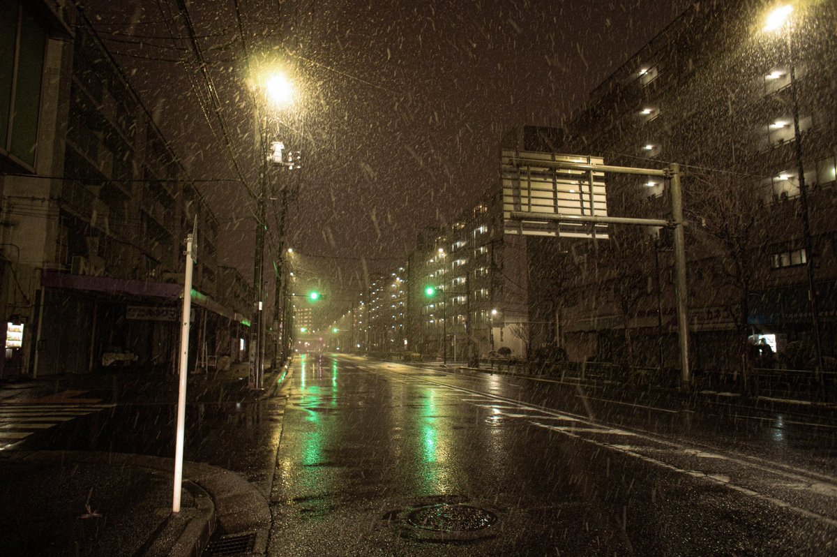 nyafu (@n55_pafu) on Twitter photo 