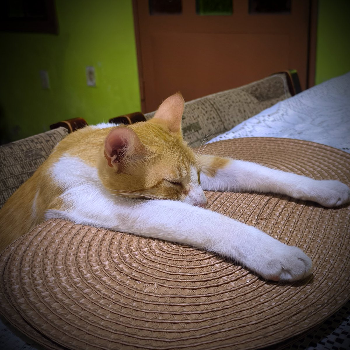 Firumiau... El muerto de hambre 😹