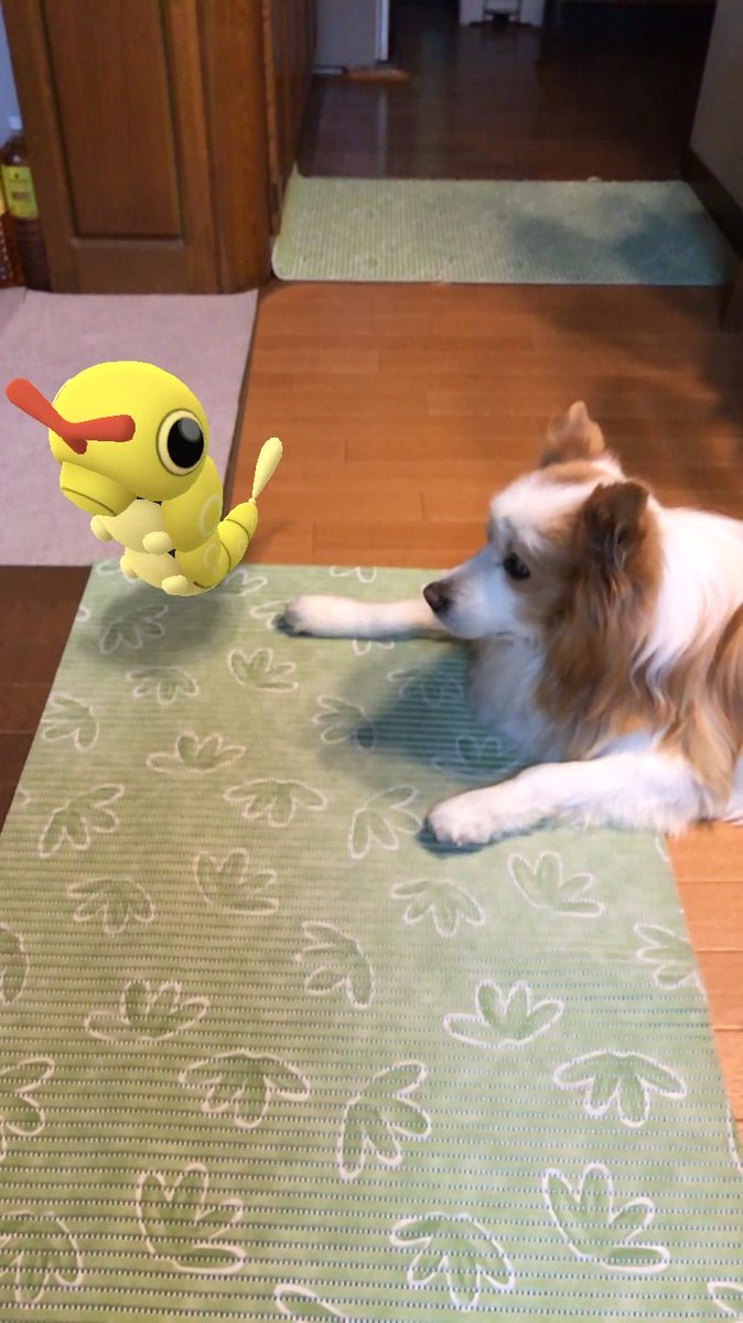 captainjian1's tweet photo. @Ekisdeni_ Let’s enjoy pokego together!!! https://t.co/HetBeIwdFK