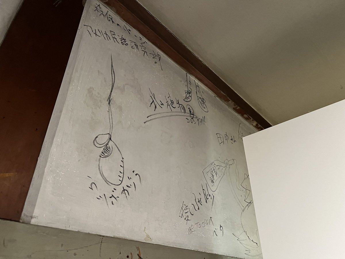 文文文 鞆(とも) on X