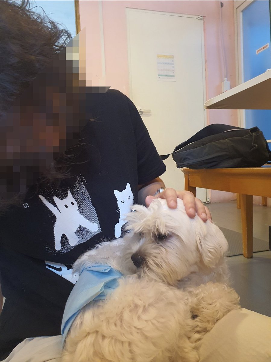 doori0714's tweet photo. 아무튼 7월 2일에 오빠가 혼자 한번 더 보고, 7월 7일에 입양신청서 내고 바로 다음 날 한번 더 방문했다.

이번에는 꽤 안정적으로 안았다.
두리가 우리한테 오기 전까지는 다른 강아지들이 우리한테만 있었다... 8마리 정도 중에 3마리가. . . 오리도 잘 지내고 있기를... 이제 10살일 텐데! https://t.co/gCOmuQfxcd