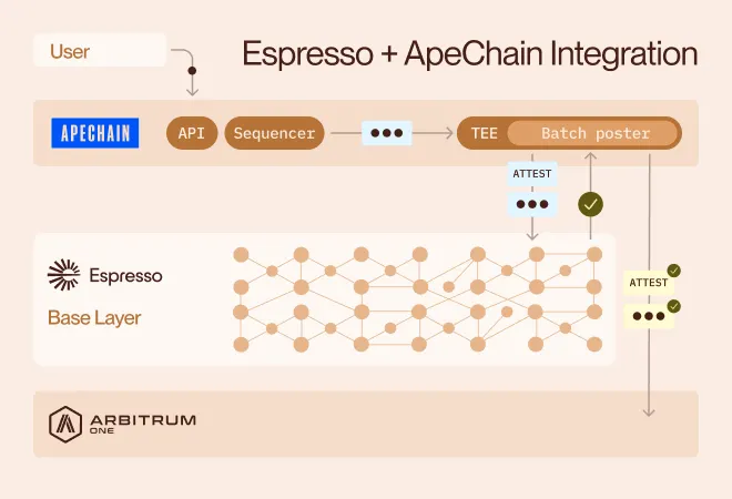 Sequencers gave us speed but not trust. Espresso gives us both.

By confirming ApeChain’s blocks before they reach Arbitrum One and enforcing that match through a TEE, Espresso eliminates sequencer equivocation without touching user experience.

It’s the same fast UX, now