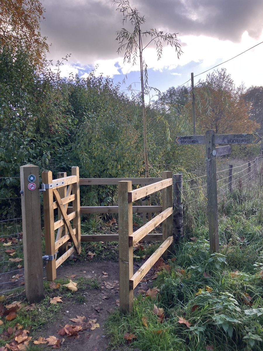 Spanking new kisser 😘 #gate