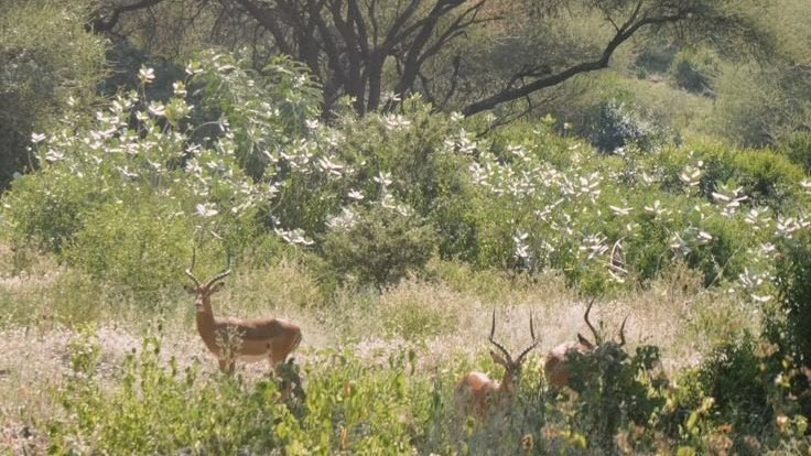 LovelyCuteDaily's tweet image. 